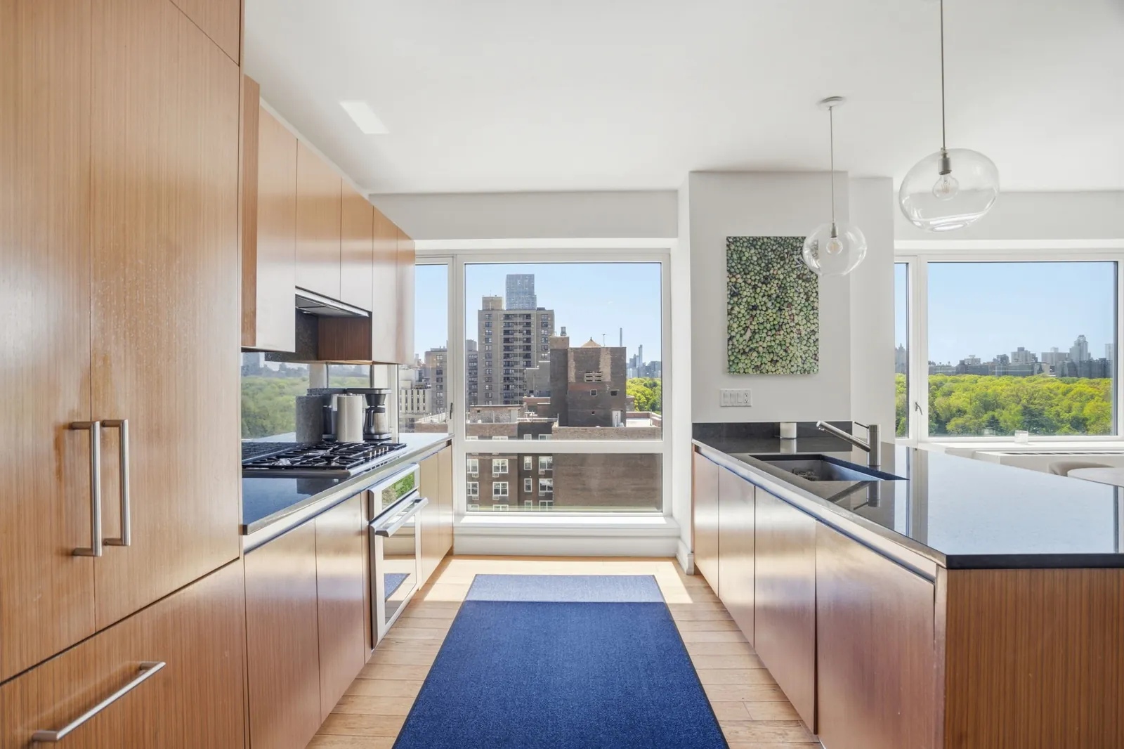 Kitchen overlooking Central Park, East Harlem